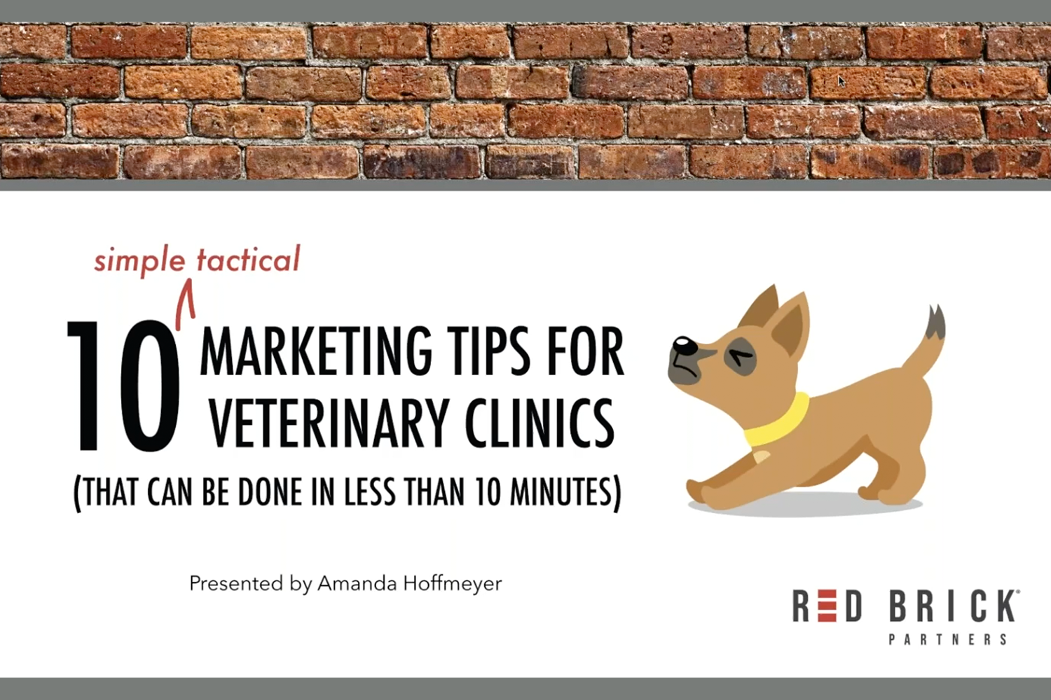 10 Simple & Tactical Marketing Tips for Veterinary Clinics_Blog Thumbnail