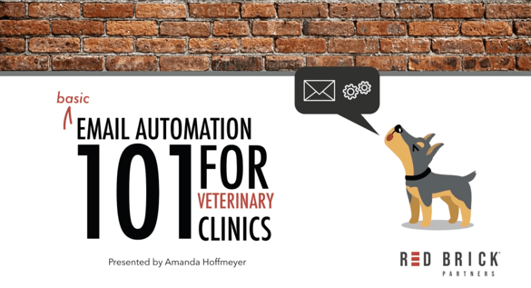 Email Automation 101 for Veterinary Clinics Webinar Thumbnail