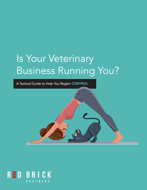 Is Your Veterinary Business Running You eBook Thumbnail