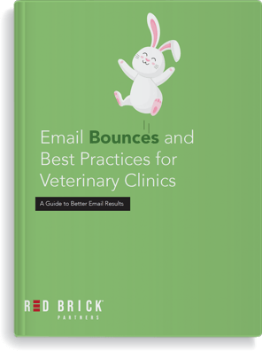 email bounce guide